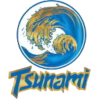  Tsunami