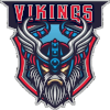  Wild Vikings